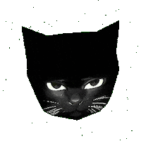 Bro Gif Sticker