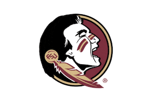 gold fireworks Sticker by Florida State University