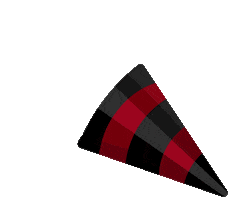 Party Celebrate Sticker by University of South Carolina