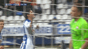 GIF by FOX Sports