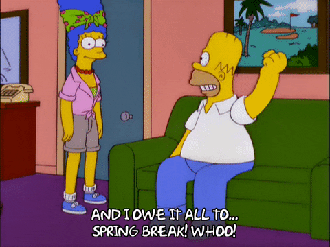 homer simpson GIF