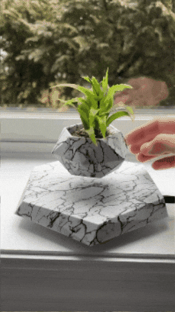 juangarciae44c9492ce6840ef9bd6e385dd7a3e88 giphygifmaker GIF