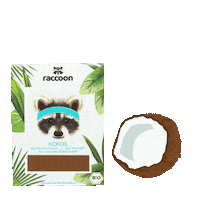 Coconut Kokosnuss Sticker by Raccoon Foods