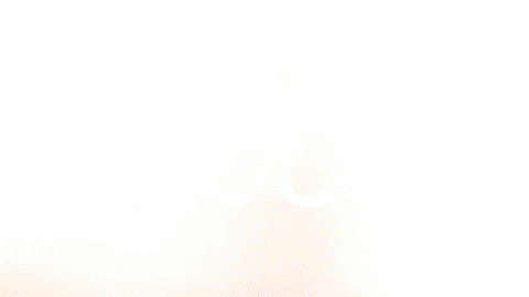 Celebration Goal GIF by FC Red Bull Salzburg