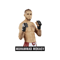 Mixed Martial Arts Mma Sticker by BRAVE Combat Federation