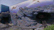 GIF by Disneyland Paris