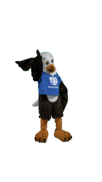 Natetheeagle Sticker by Nationwide