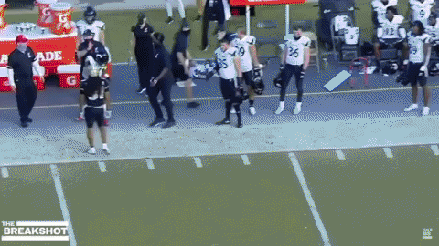 nfalato11 giphyupload GIF