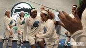tulane rollwave GIF by GreenWave