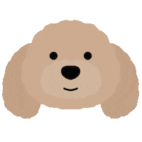 Toy Poodle Sticker