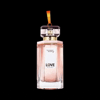 victoriassecretmy love vs victorias secret victoriassecret GIF