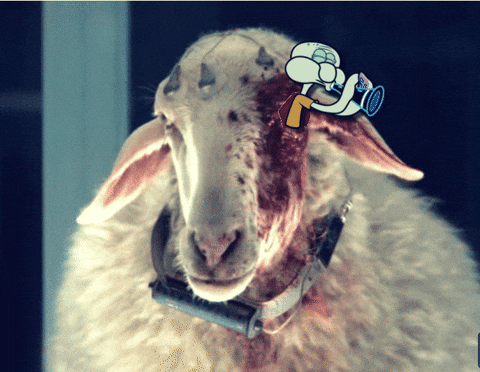SteamyTangy giphyupload spongebob squarepants squidward alien earth GIF
