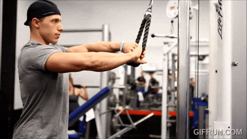 BamBamDoubleBB giphyupload cable rope rear delt face pulls GIF
