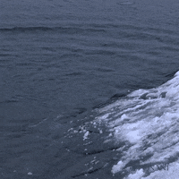 Water Swimming GIF by PONANT