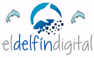 ElDelfinDigital delfin delfin digital GIF