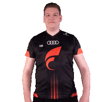 Pointing Fifa20 Sticker by STARK ESPORTS
