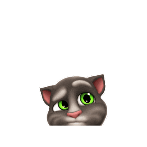 Nhsgyt50 giphygifmaker cat confused huh Sticker