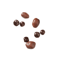 QuakerNL cruesli quakernl multigrain chococrisp Sticker