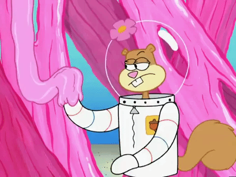 season 4 episode 20 GIF by SpongeBob SquarePants