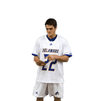 Lacrosse Bluehens Sticker by Delaware Blue Hens