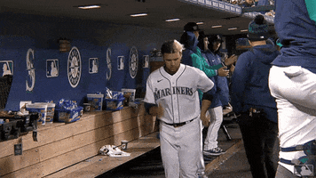 Major League Baseball Sport GIF by MLB
