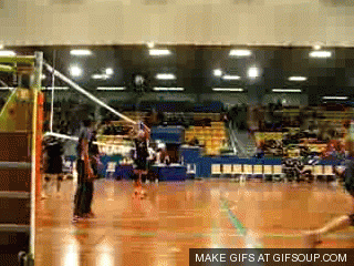 Volleyball Bas GIF