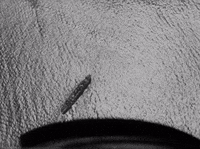 the navy comes through GIF by Warner Archive