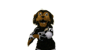 Ice Hockey Yes Sticker by NHL