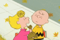 Youre Not Elected Charlie Brown GIF by Peanuts