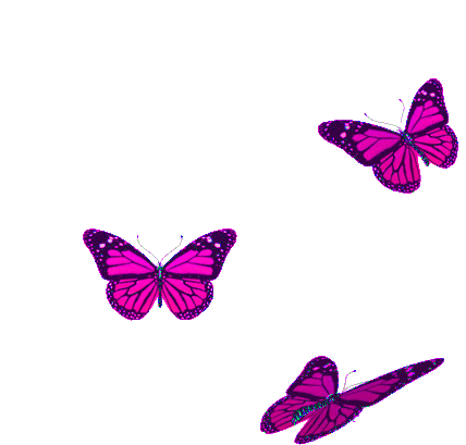 Pink Butterfly Sticker
