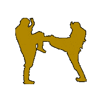 Workout Fighting Sticker by vank