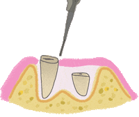 Dentist Odonto Sticker