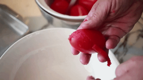 carlaperalva giphygifmaker food tomate estadao GIF