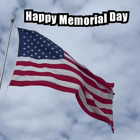 United States Usa GIF by GT8Studios