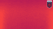 Liverpool Fc Hello GIF by Barclays FAWSL