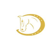 ridersdeal emoji deal rider pferd Sticker