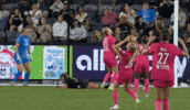 Nccourage GIF by National Women's Soccer League