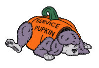 Guide Dog Sticker by Guide Dogs of the Desert