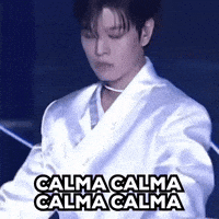 Stray Kids Skz GIF