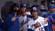 Pete Alonso Celebration GIF by New York Mets
