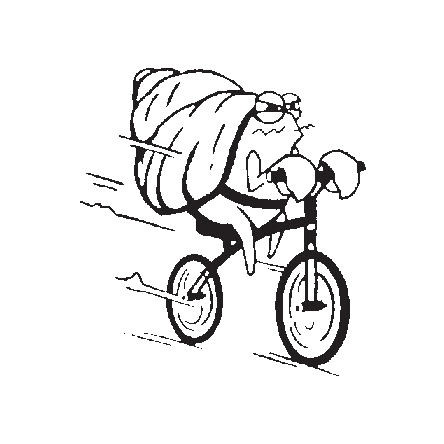 Bjj Jiujitsu Sticker by scarabbjj