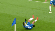 Soccer Futbol GIF by Brighton & Hove Albion Football Club