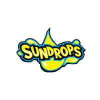 Ccs Ccsuns Sticker by Cheer Central Suns