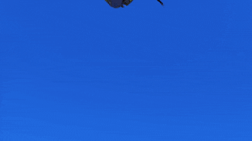 Overwatch Hanging Around GIF by Boston Uprising