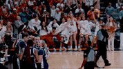 Hookem GIF by Texas Longhorns