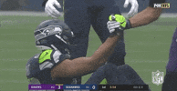 Regular Season Football GIF by NFL
