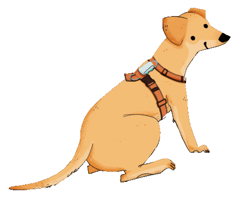 Gps Tracker Sticker