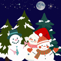 Merry Christmas GIF by Maria Johnsen