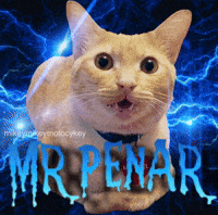 Funny Cat GIF