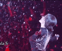 Concert Celebrate GIF